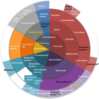 Oral, Tongue-Coating Microbiota, and Metabolic Disorders: A Novel Area of Interactive Research